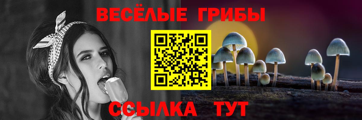Сертолово  Галлюциногенные грибы Magic Shrooms  Вход с VPN 